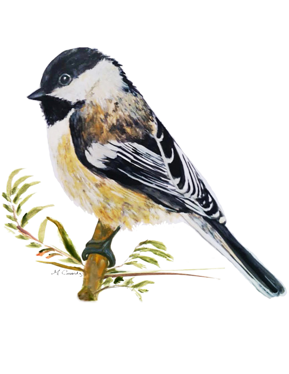 4075 Chickadee