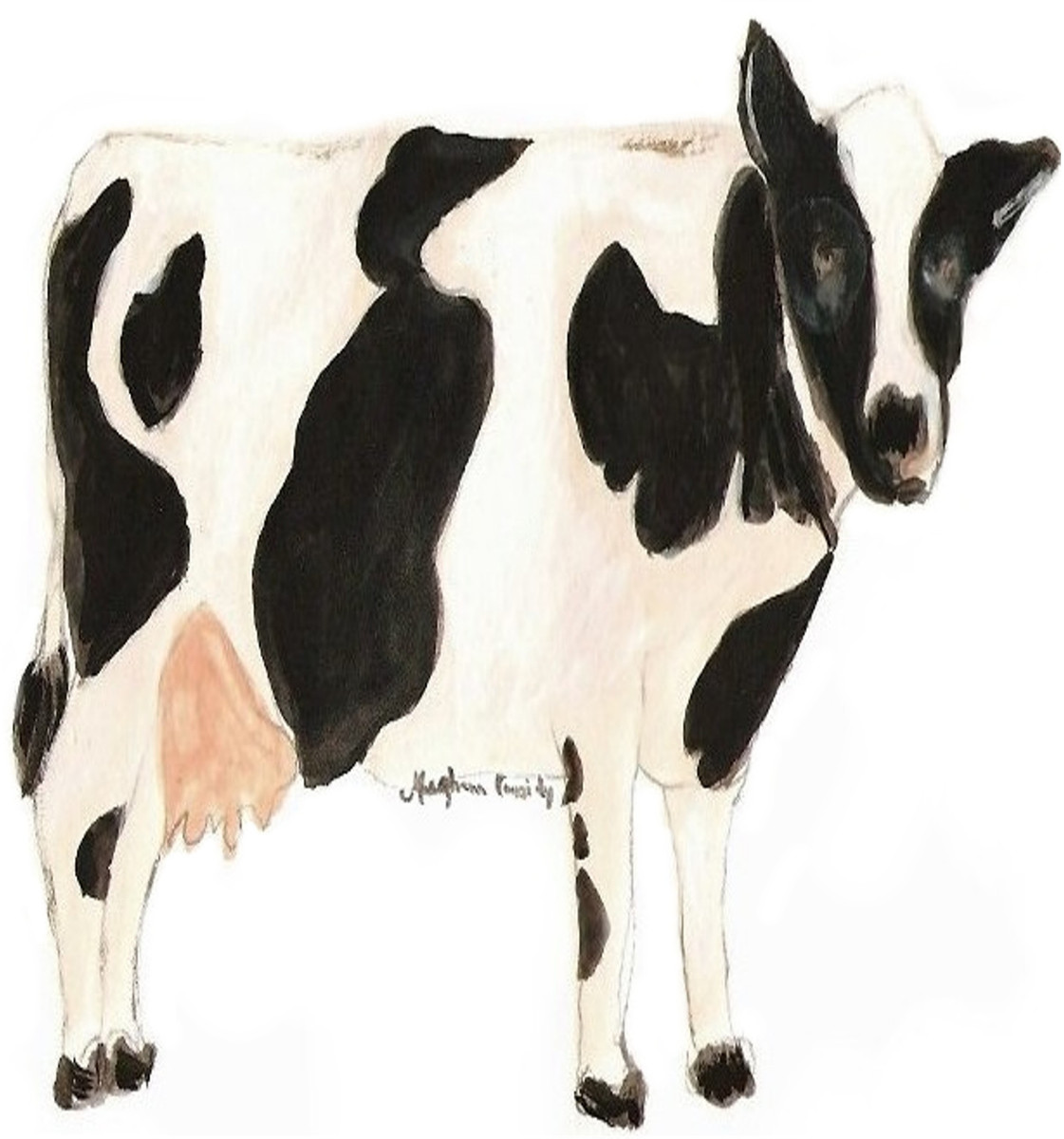 20271 Pasture
