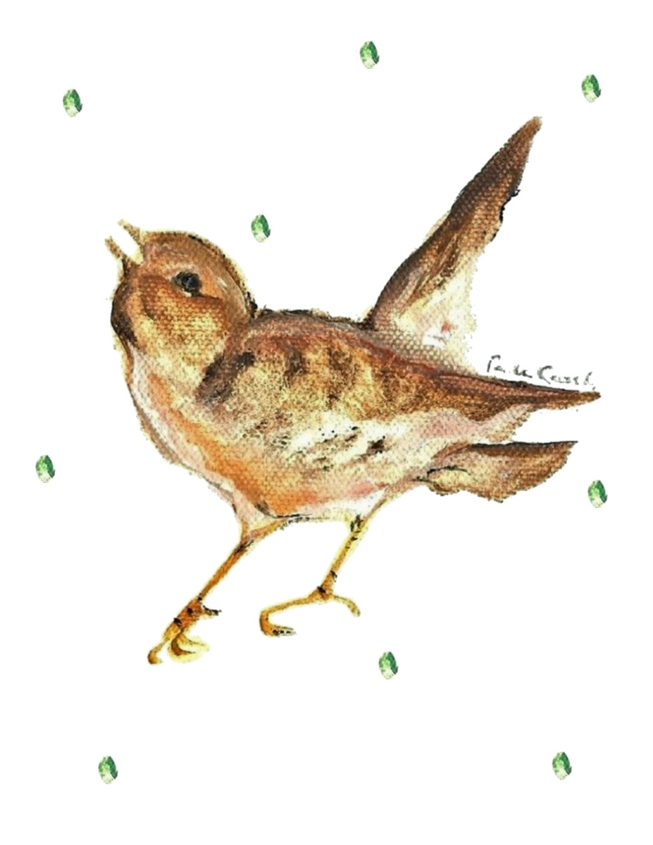 60821 Young Robin