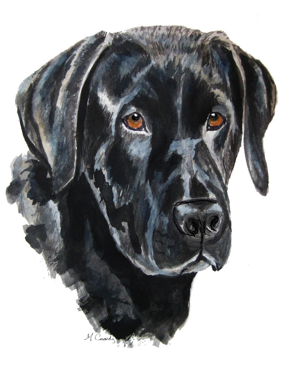 3083 Labrador
