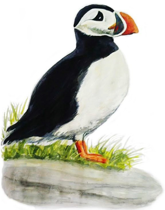 4094 Puffin