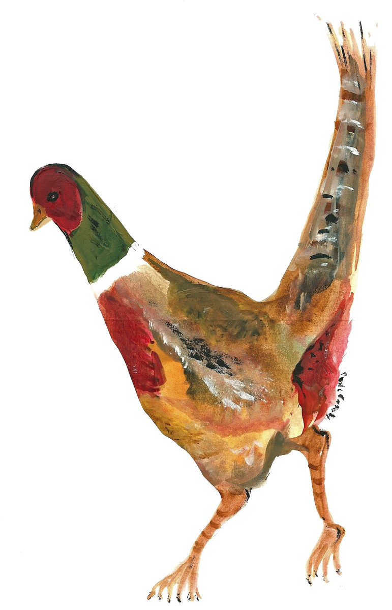90551 Pheasant