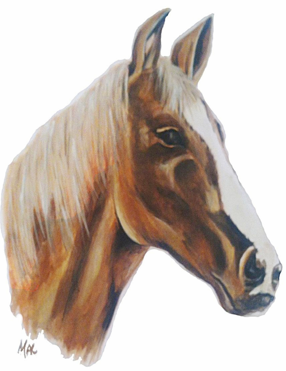 4051 Thoroughbred