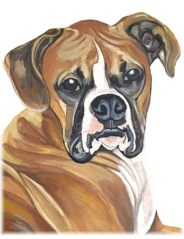 8045 Boxer