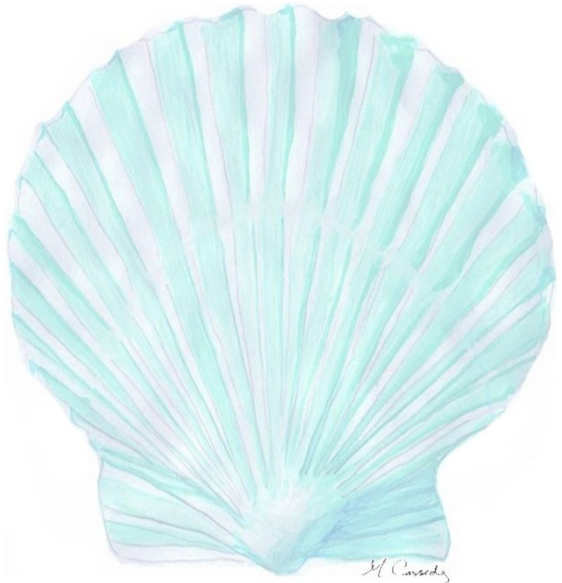 4029 Blue Scallop