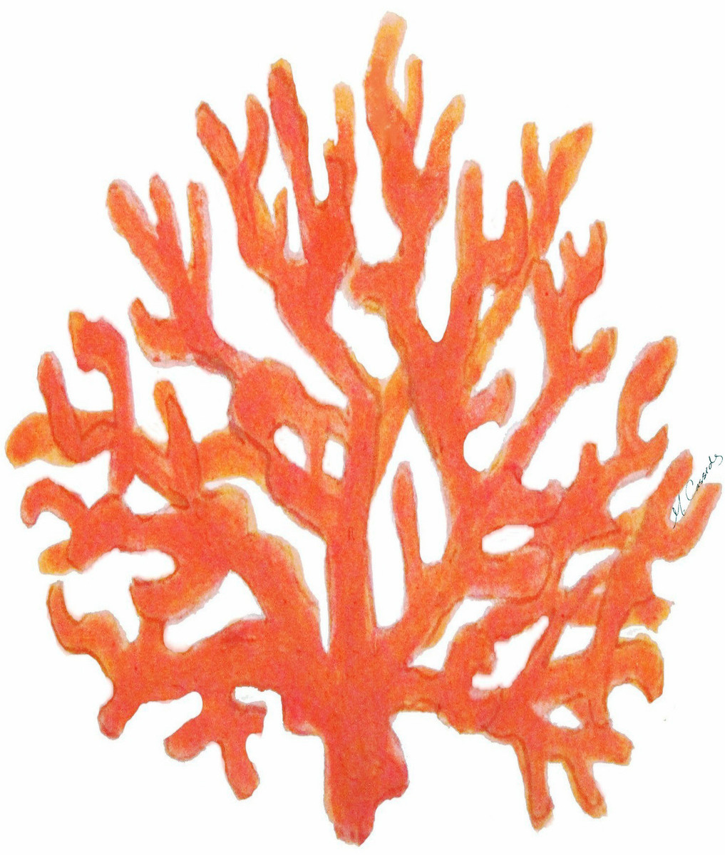 3077 Coral
