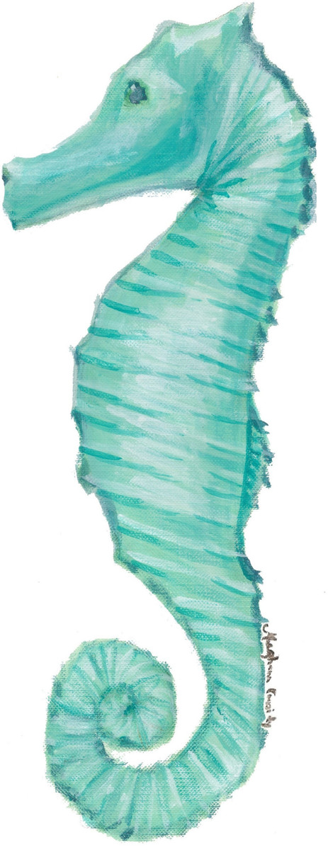 3033 Seahorse