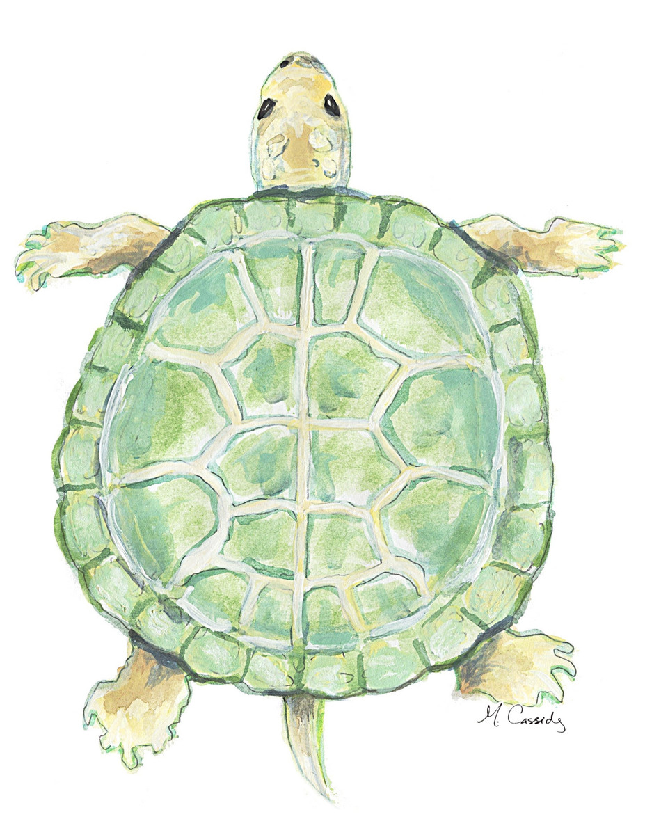 4019 Sea Turtle