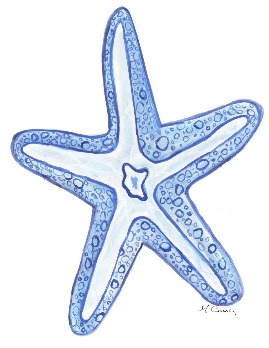 4028 Starfish