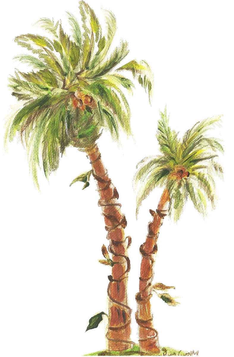 60962 Palmetto