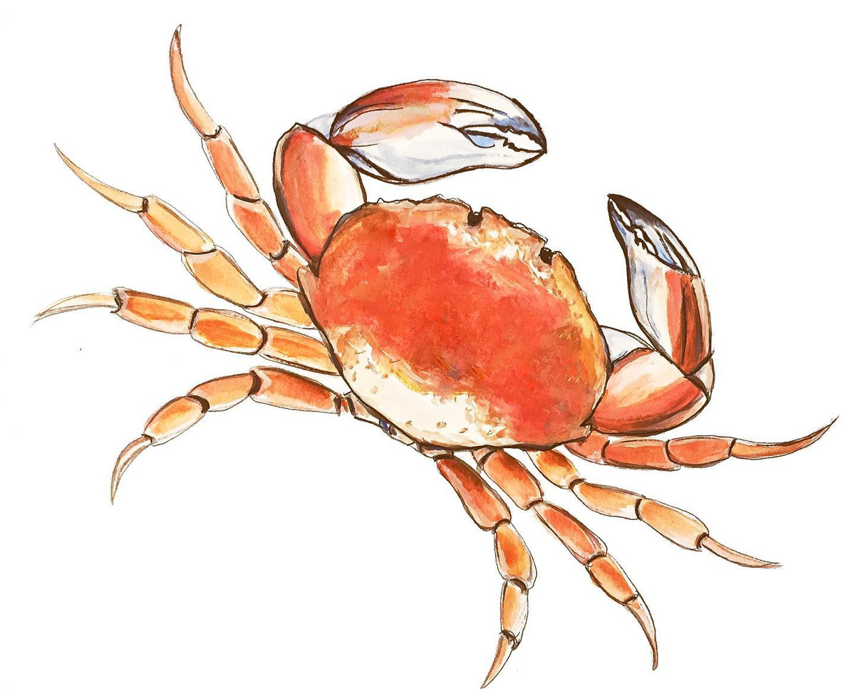 90205 Red Crab