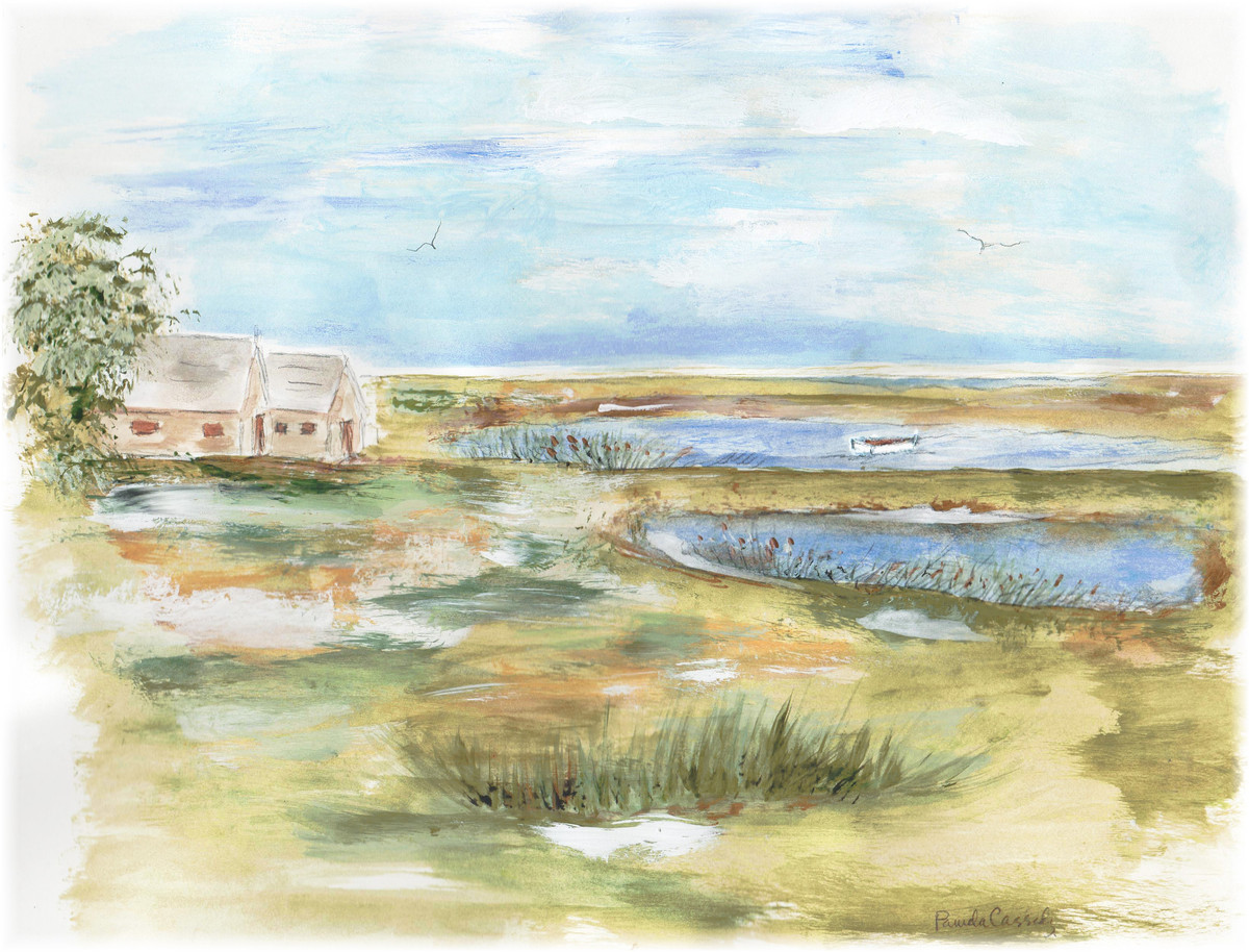63 Cape Marsh