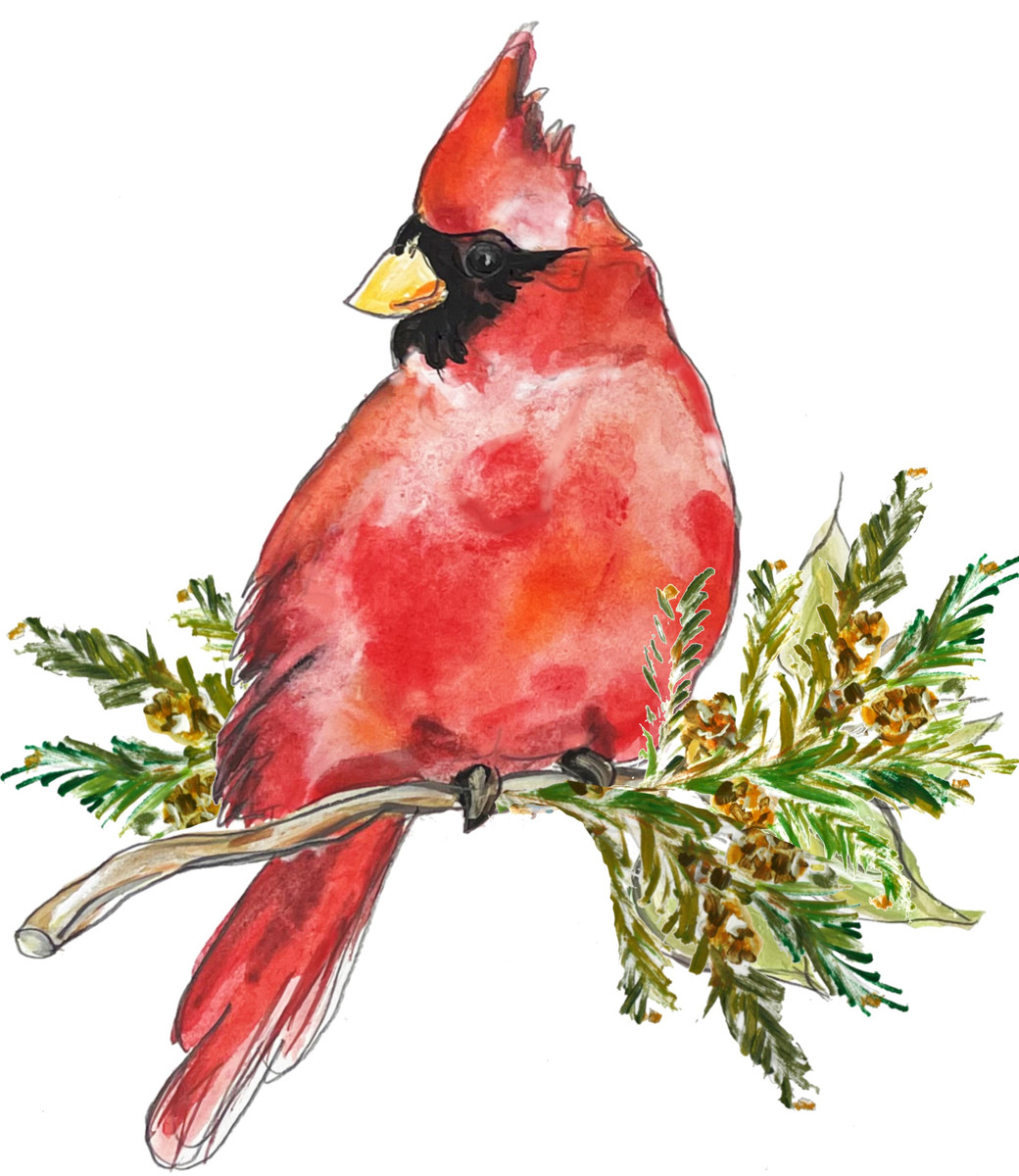 113 Cardinal