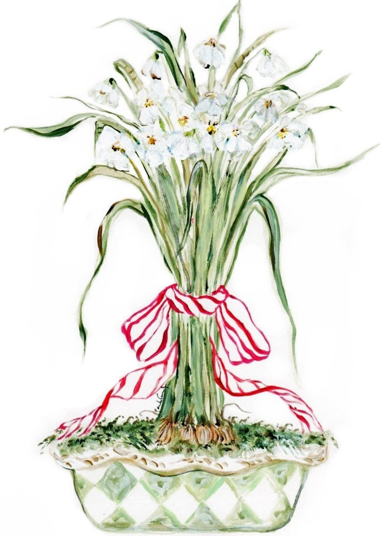 4040 Paper Whites