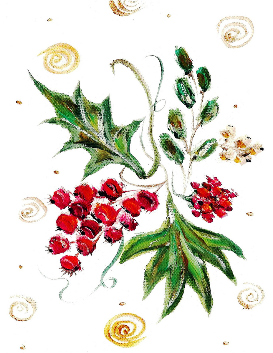 60291 Holly Berry