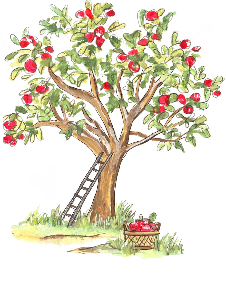 115 Apple Tree