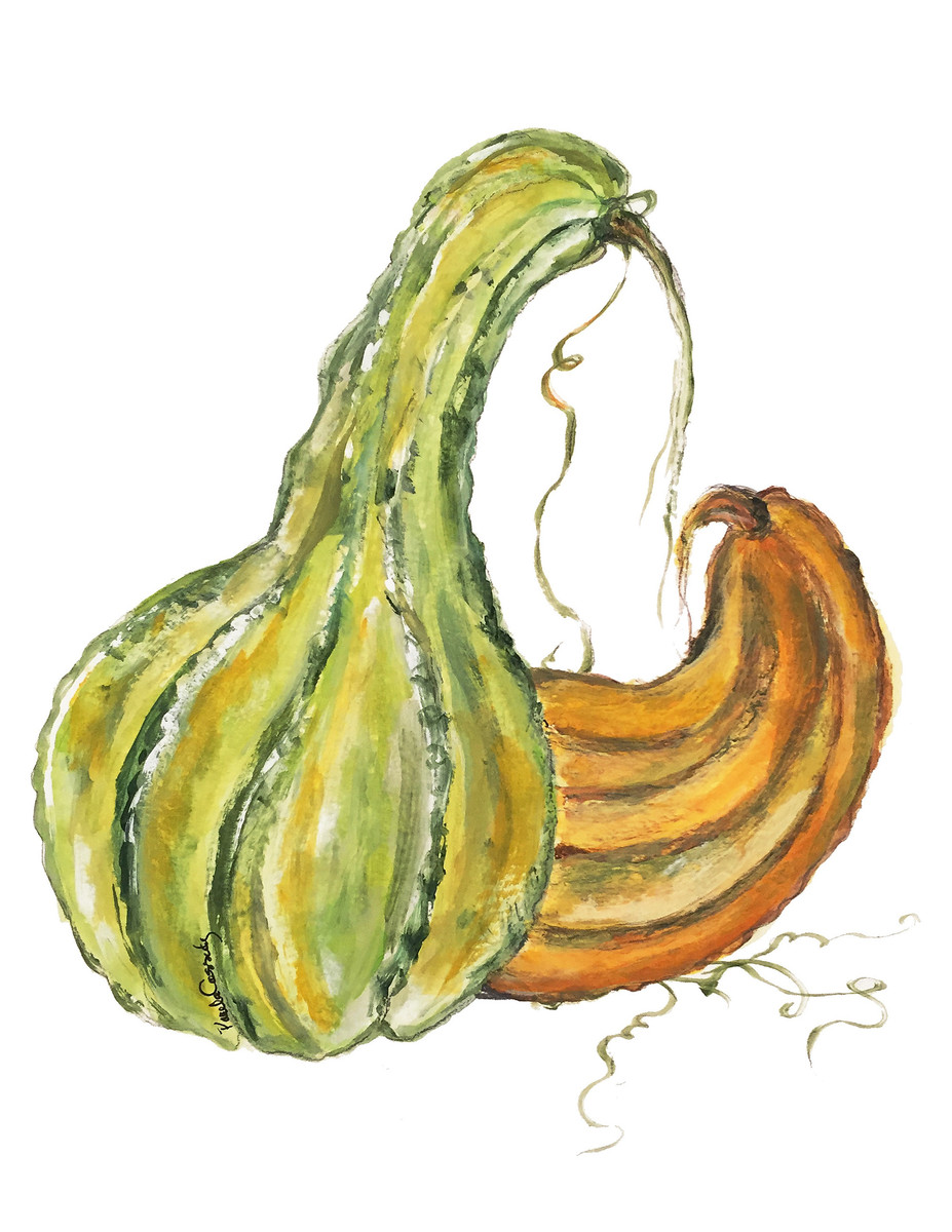 26 Gourd