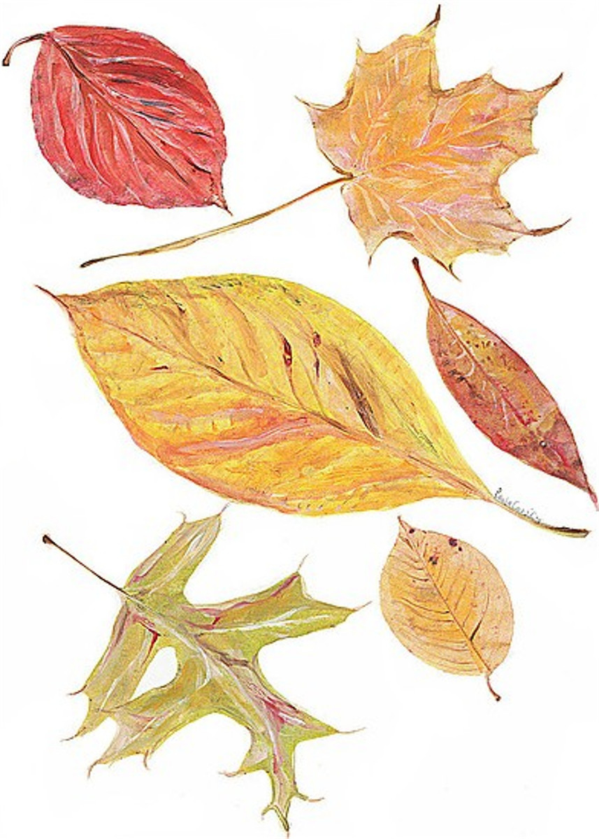 5093 Falling Leaves