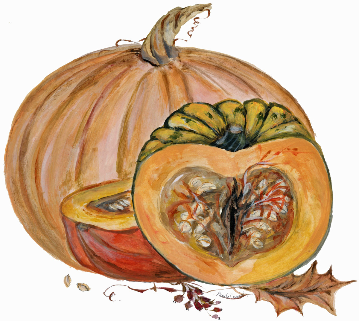 3046 Squash