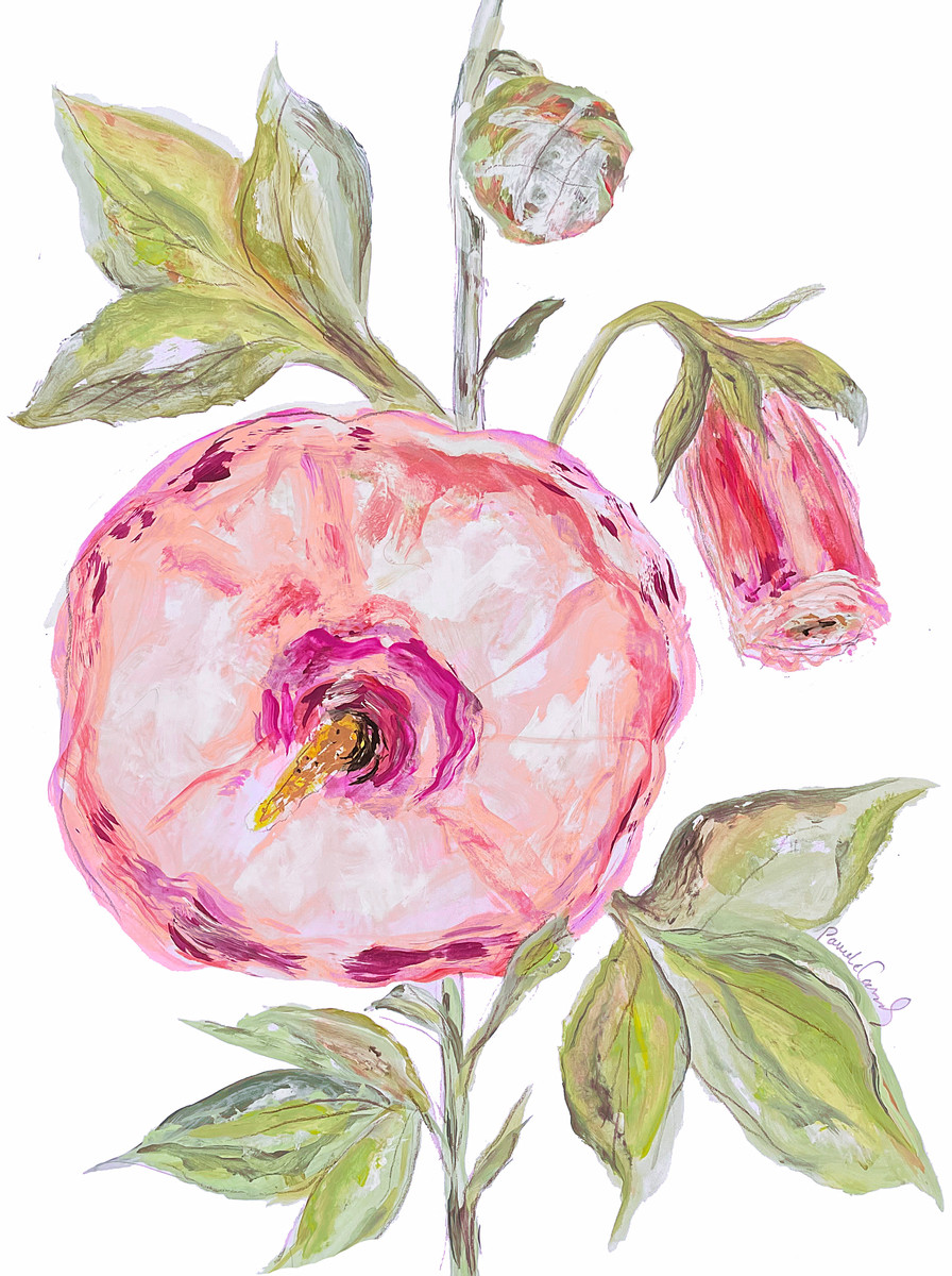 151 Rose Mallow