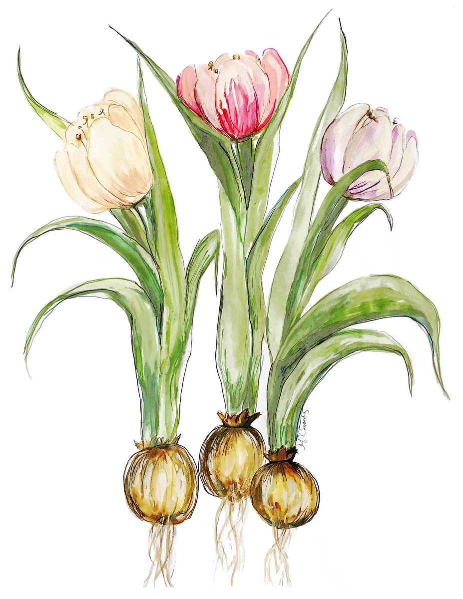 43 Fresh Blooms