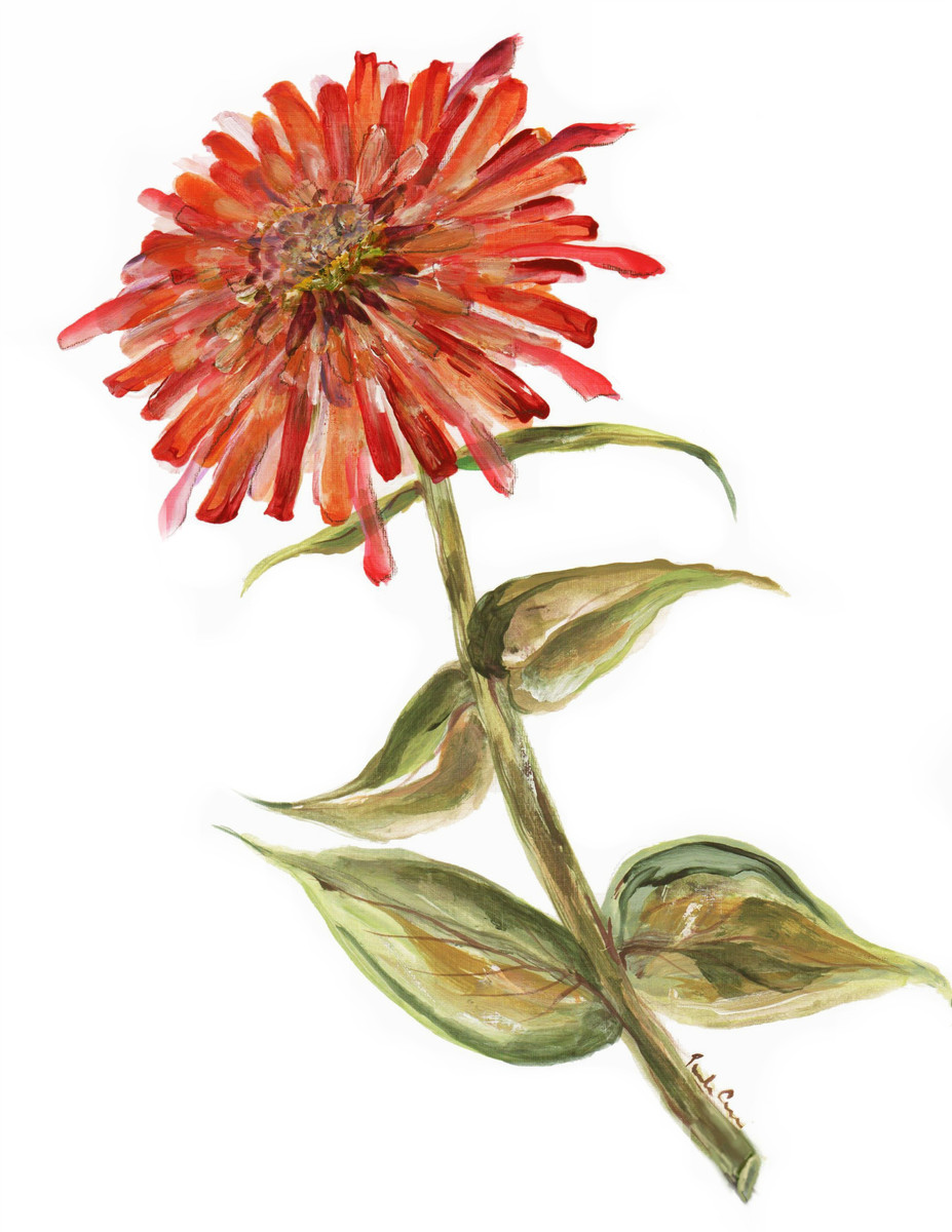 8039 Zinnia