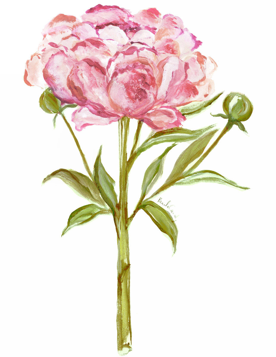4026 Peony