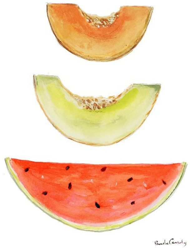 8073 Melon