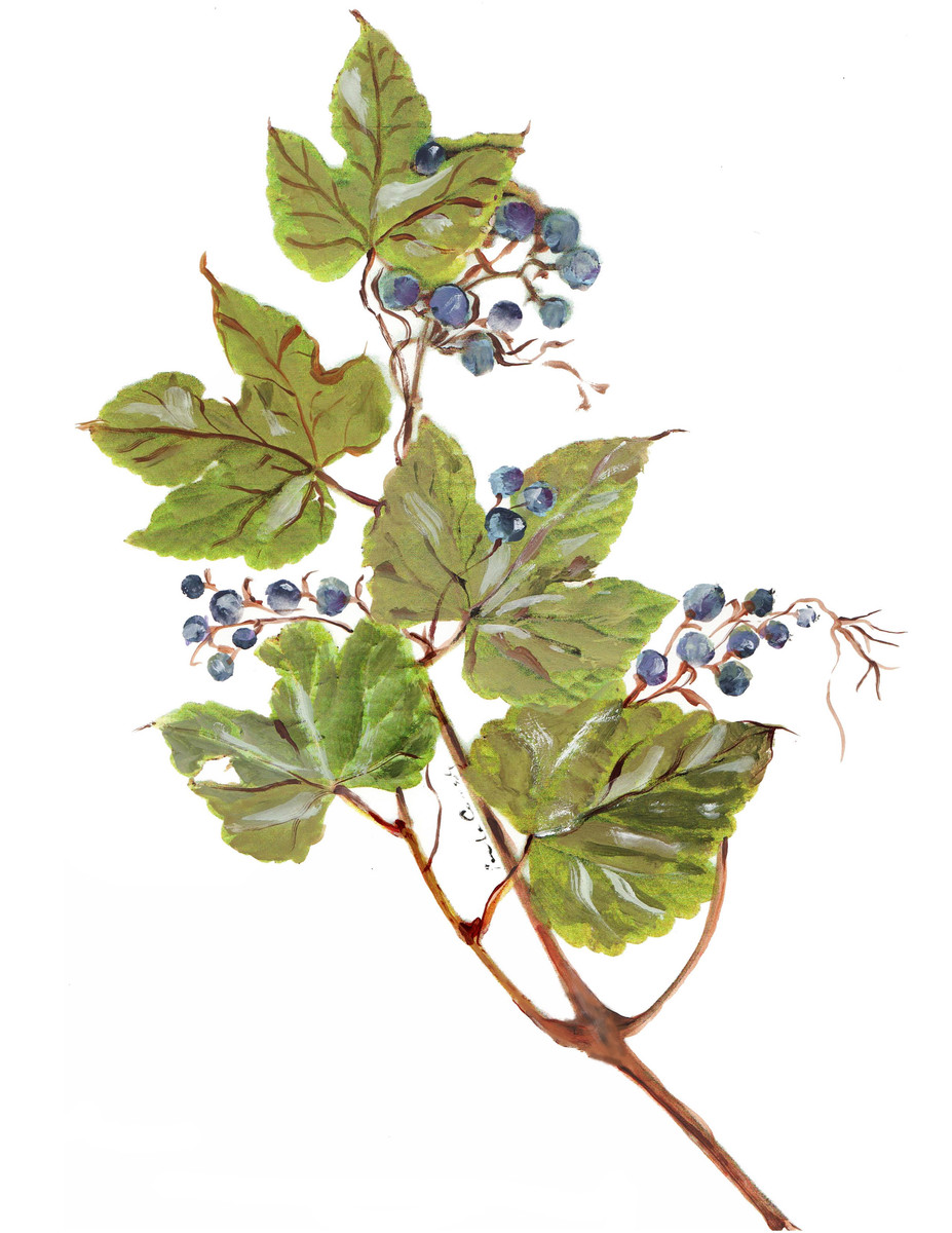 8057 Berry Branch