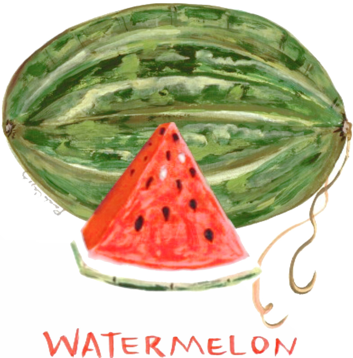 20252 Watermelon