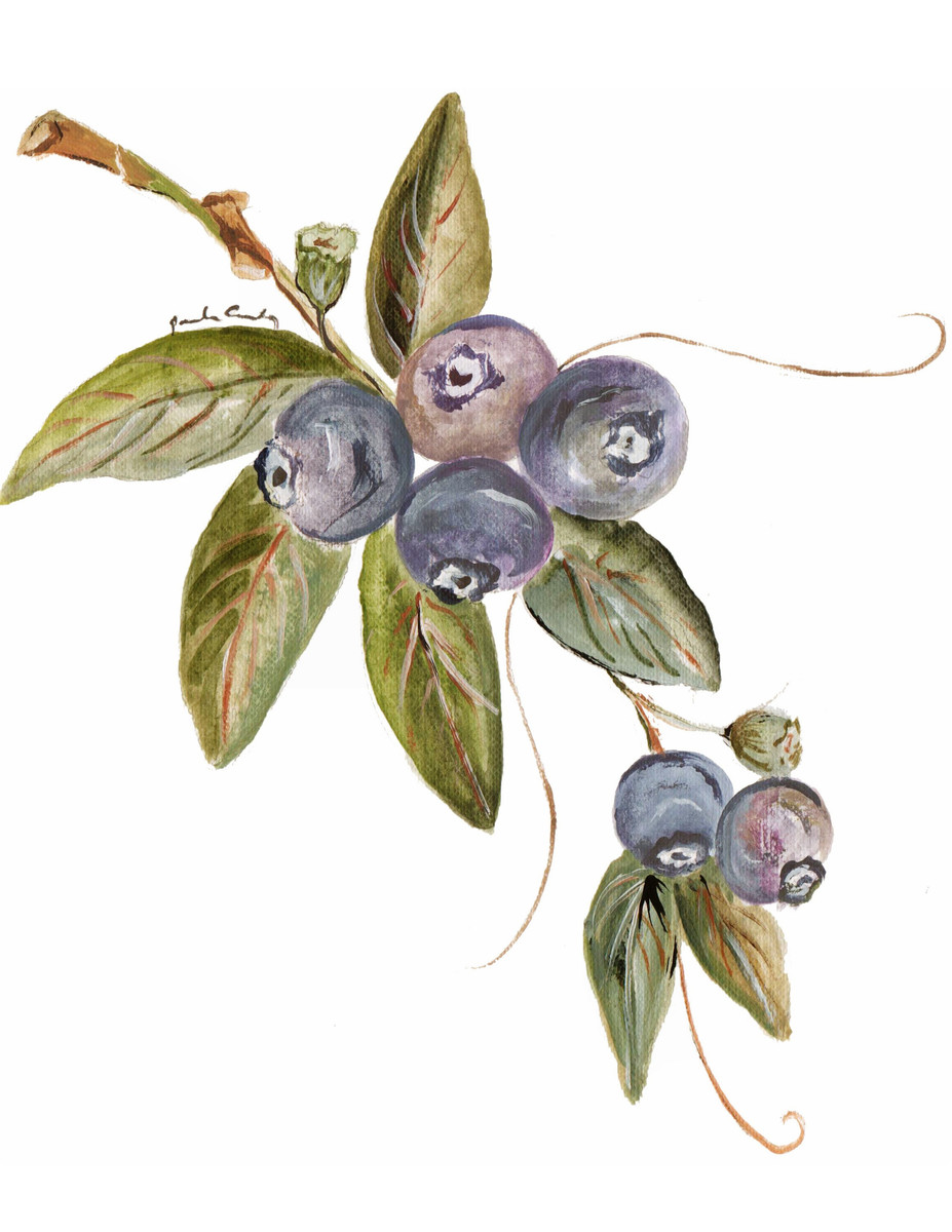 3025 Blueberry