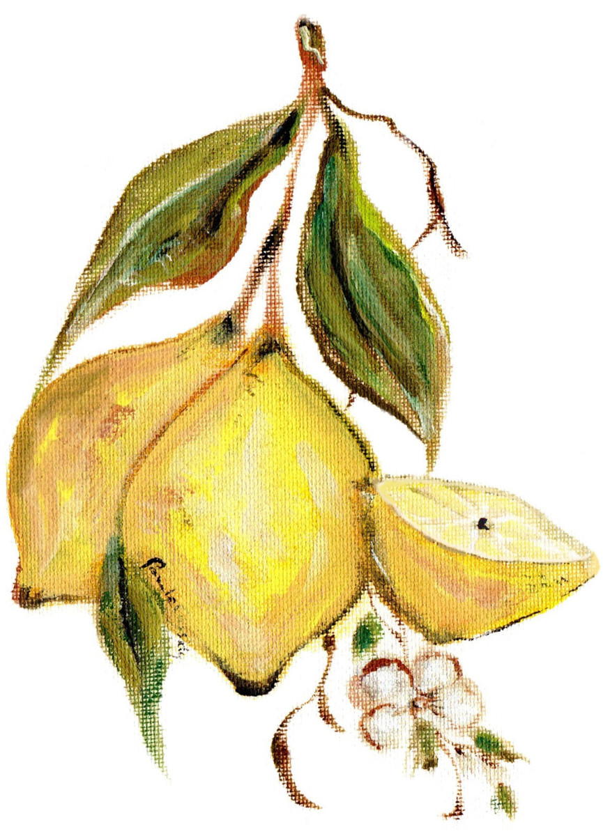 90412 Lemon