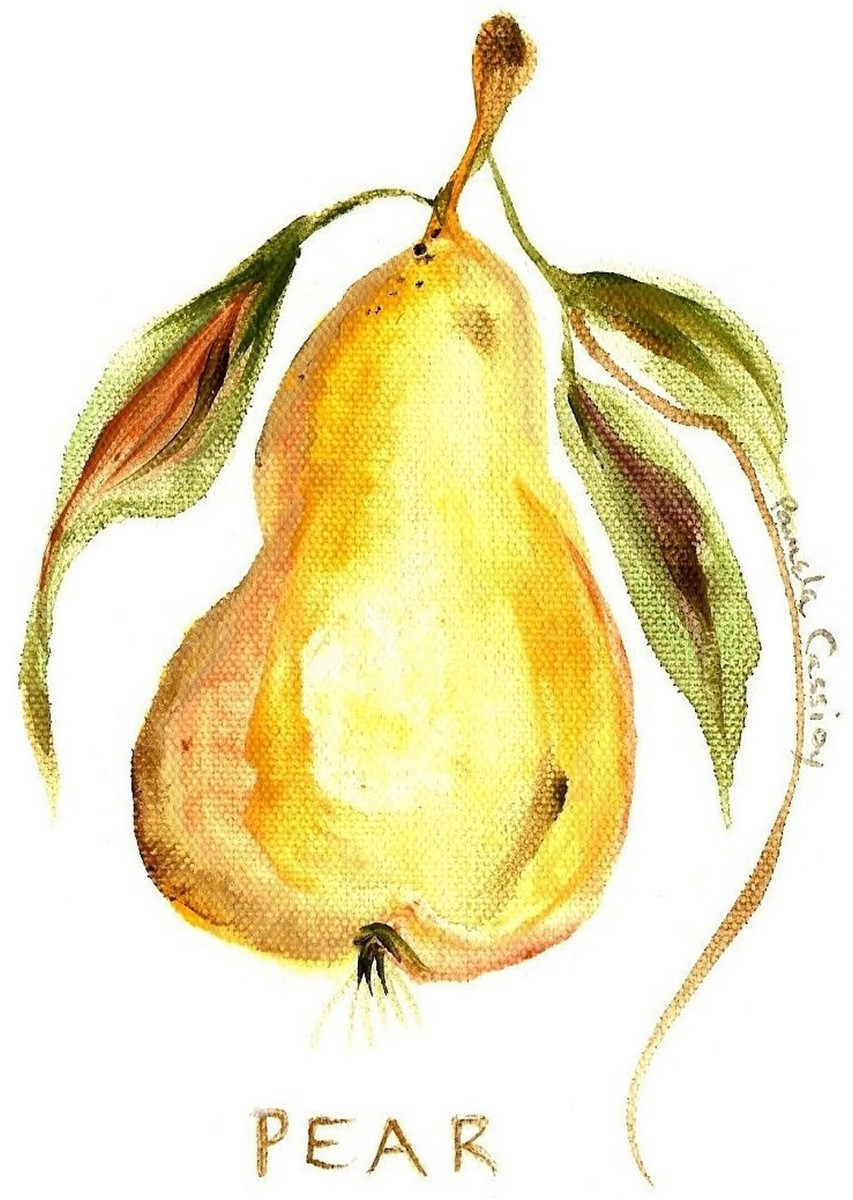 60871 Pear