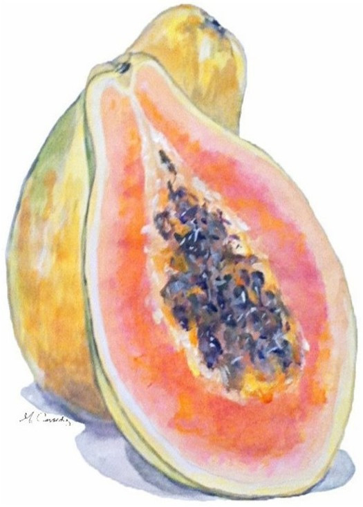 4034 Papaya