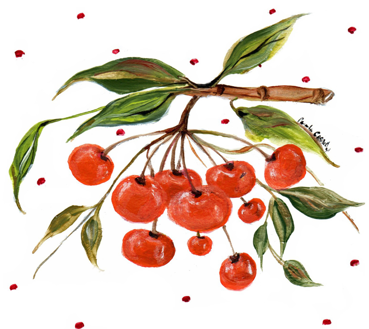 20231 Cherries