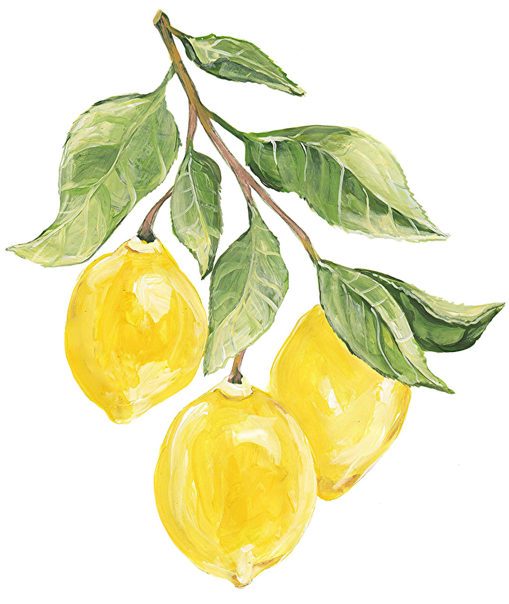 8046 Lemon Branch