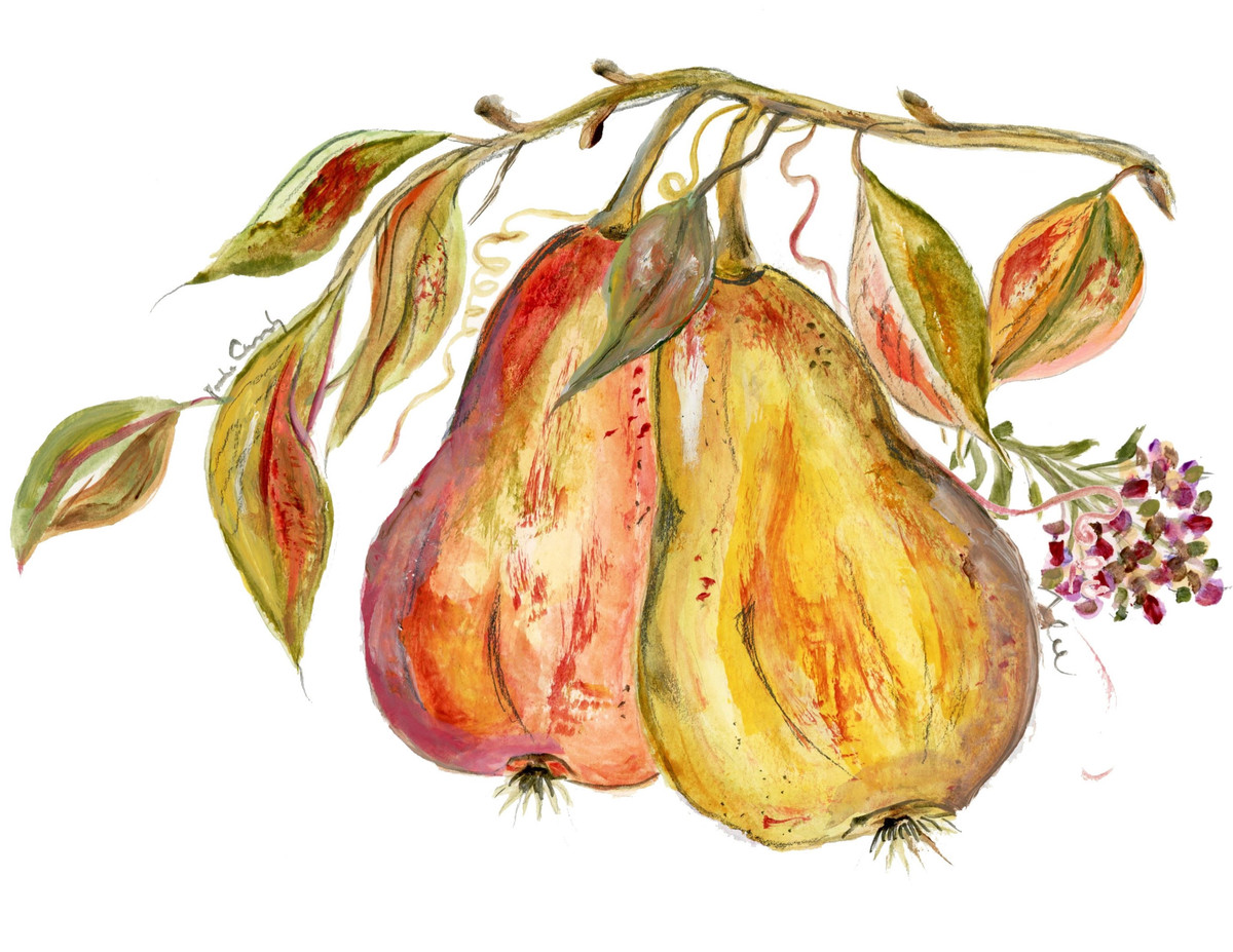 79 Autumn Pear