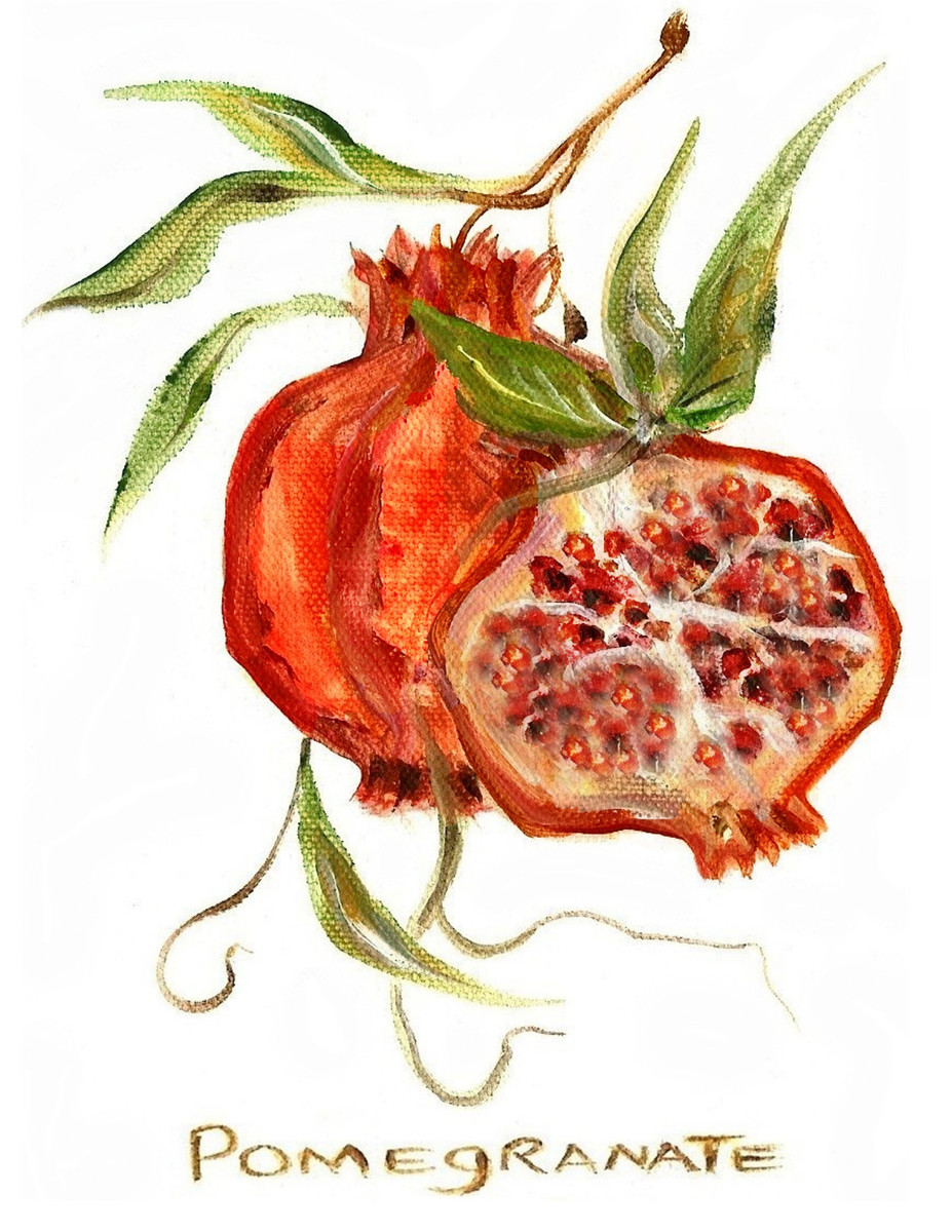 60862 Pomegranate