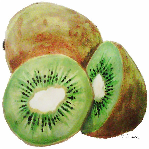 3089 Kiwi