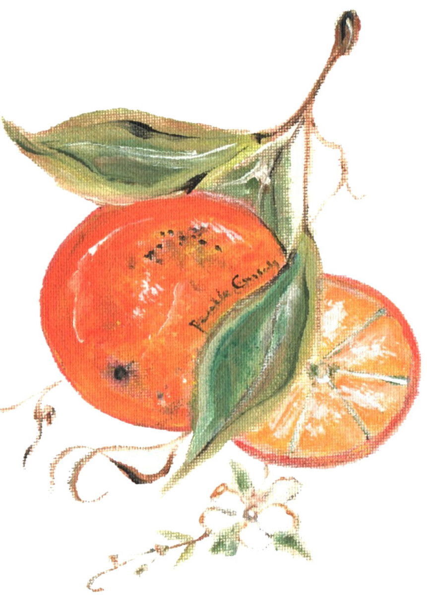 90411 Citrus