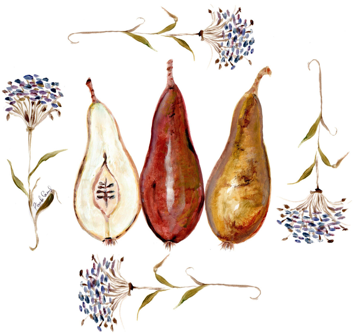 3093 Bosc Pear