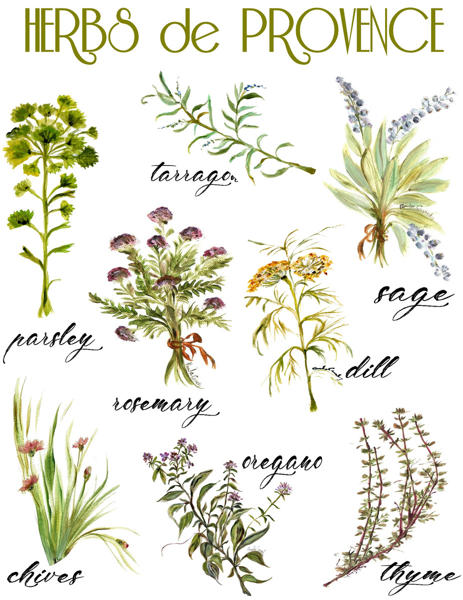 45 Herbs de Provence