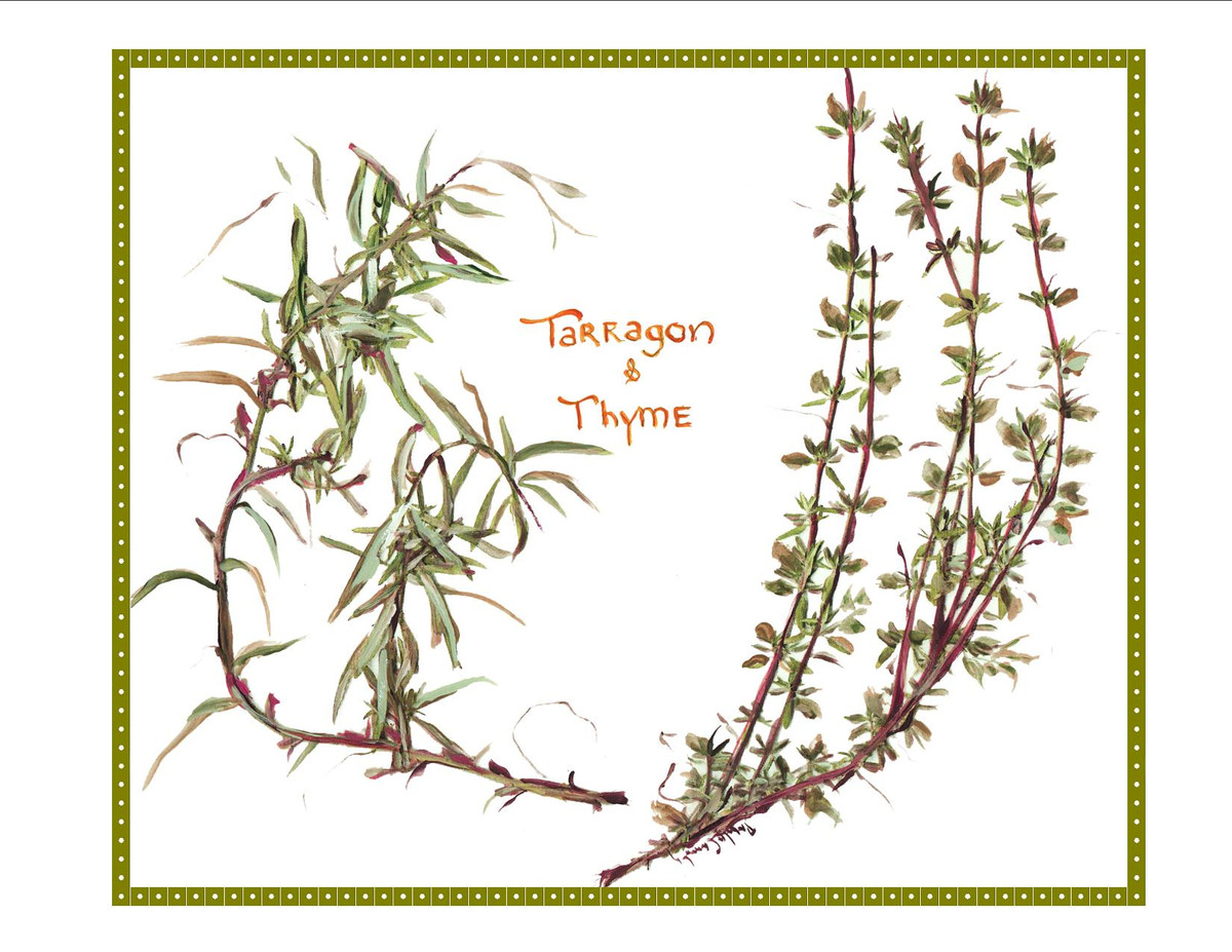8032 Tarragon
