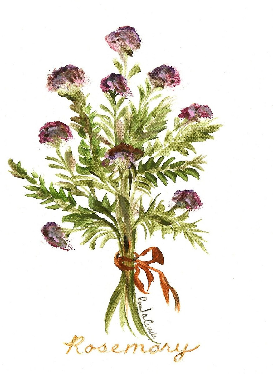 60371 Herbs of Summer