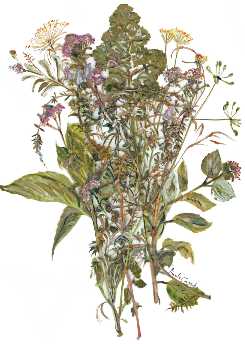 5056 Savory Herbs