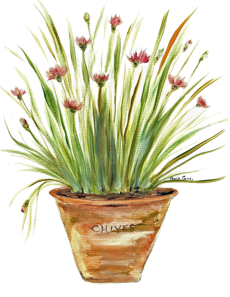 20691 Chives