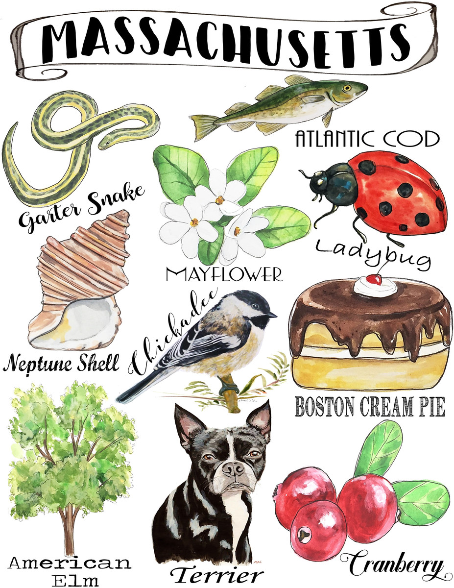 Massachusetts State Icon