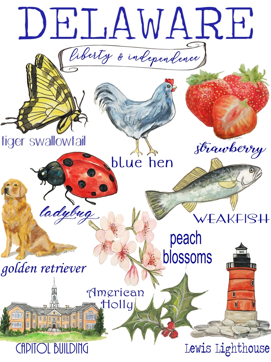 Delaware State Icons