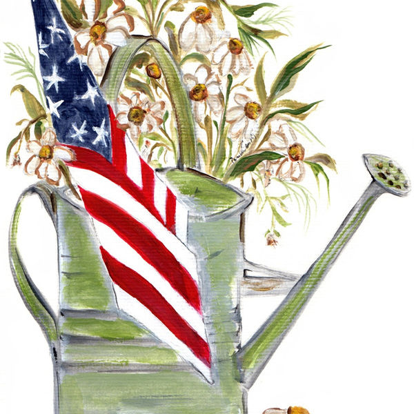 20711 American Country