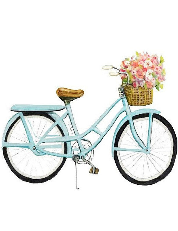 4073 Blue Bike